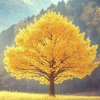 花开无声的头像