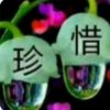 享受孤独的头像
