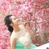 情定四叶草1149088250的头像