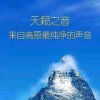 玲珑歌汇的头像