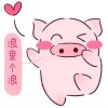 温柔养猫客的头像