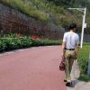 平安的头像