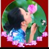 心梦！《忙！暂退！》的头像