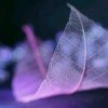他信的头像