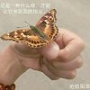 理想的头像