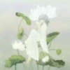 一朵【自娱自乐】的头像