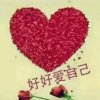 爱以惜为贵的头像