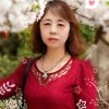 郁金香的头像
