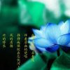 记忆（拒私信）的头像