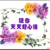 春暖花开的头像