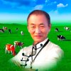 松枫琴歌的头像