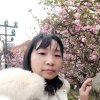 DF幽兰的头像
