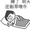 贵州勇哥的头像