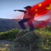 自由自在的头像
