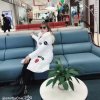金牡丹的头像