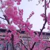 NNG的头像