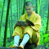 佛心悟禅的头像