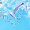 海阔天空的头像