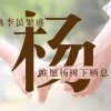 杨氏首创的头像