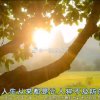 童话的头像