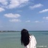 淡若清风……(拒私聊)的头像