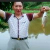 肖师（爱音乐的人，永远年轻）的头像