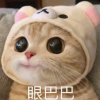 自我催眠的头像