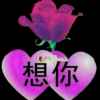 想你的365天的头像