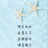 灯火阑珊﹌的头像