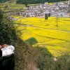 山高人为峰 的头像