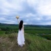 星星知我心的头像
