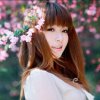 ☆_☆ live 女王薇儿 ☆_☆的头像