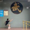 陈山聪的头像