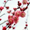 你若无情何谈爱的头像