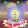 惠眼淘衣的头像