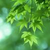 精彩人生的头像
