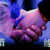 谁遇而安的头像