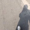 羲涵的头像