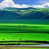 分享快乐的头像