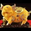 醉溪溪的头像