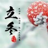冬青的头像