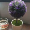 ^O^喜从天降^O^的头像