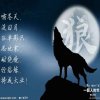 黑狼的头像
