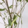 春去秋来的头像