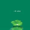 YING的头像