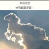 神马浮云的头像