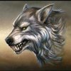 孤狼的头像
