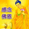 是心是佛拒私信的头像