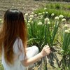 誥訴(☆Z_J☆):卜要哭的头像