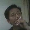 蒙面枫叶丹丹的头像